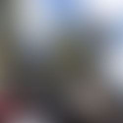 Spring Time in Paris