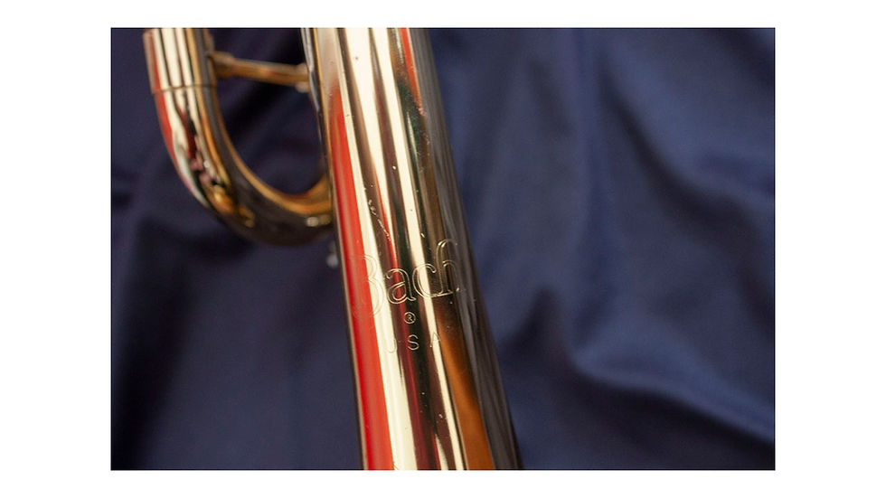 Miniatura: Trompeta Bach TR-300 USA