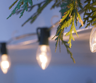 Enchanted Christmas at Weston Park