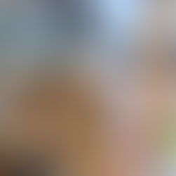 Canapés & Dessert at PimHill Barn