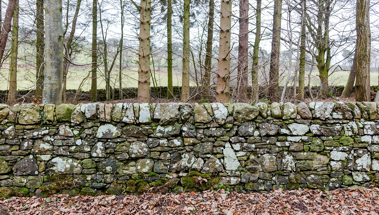 森の中に佇む、苔が美しくついた伝統的なStone Wall（石積み）。自然の石のみで構成された堅牢な壁が、周囲の木立や落ち葉の風景と静かに調和している、神戸・空間工作の象徴的な風景