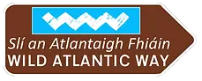 wild atlantic way.webp