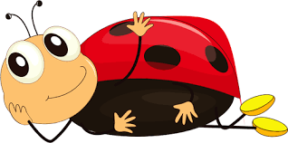 imagen mariquita.png