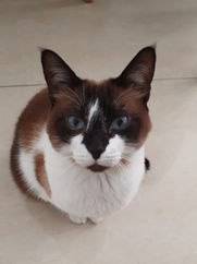 WhatsApp Image 2022-05-03 at 22.01_edited.jpg