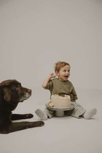 Erstes Geburtstags-Shooting – Kleinkind mit Torte und Familienhund im Fotostudio Würzburg.