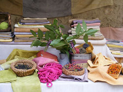 14517536_899869360119348_4147082969677101210_n