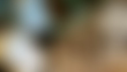 Natura Siberica - первый российский бренд качественной органической косметики