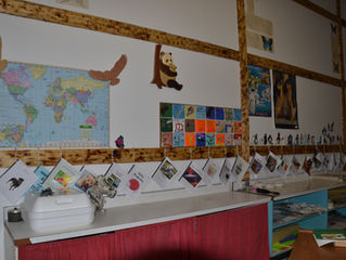 Non-Fiction Books Celebration