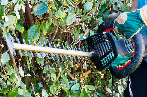Hedge Cutting