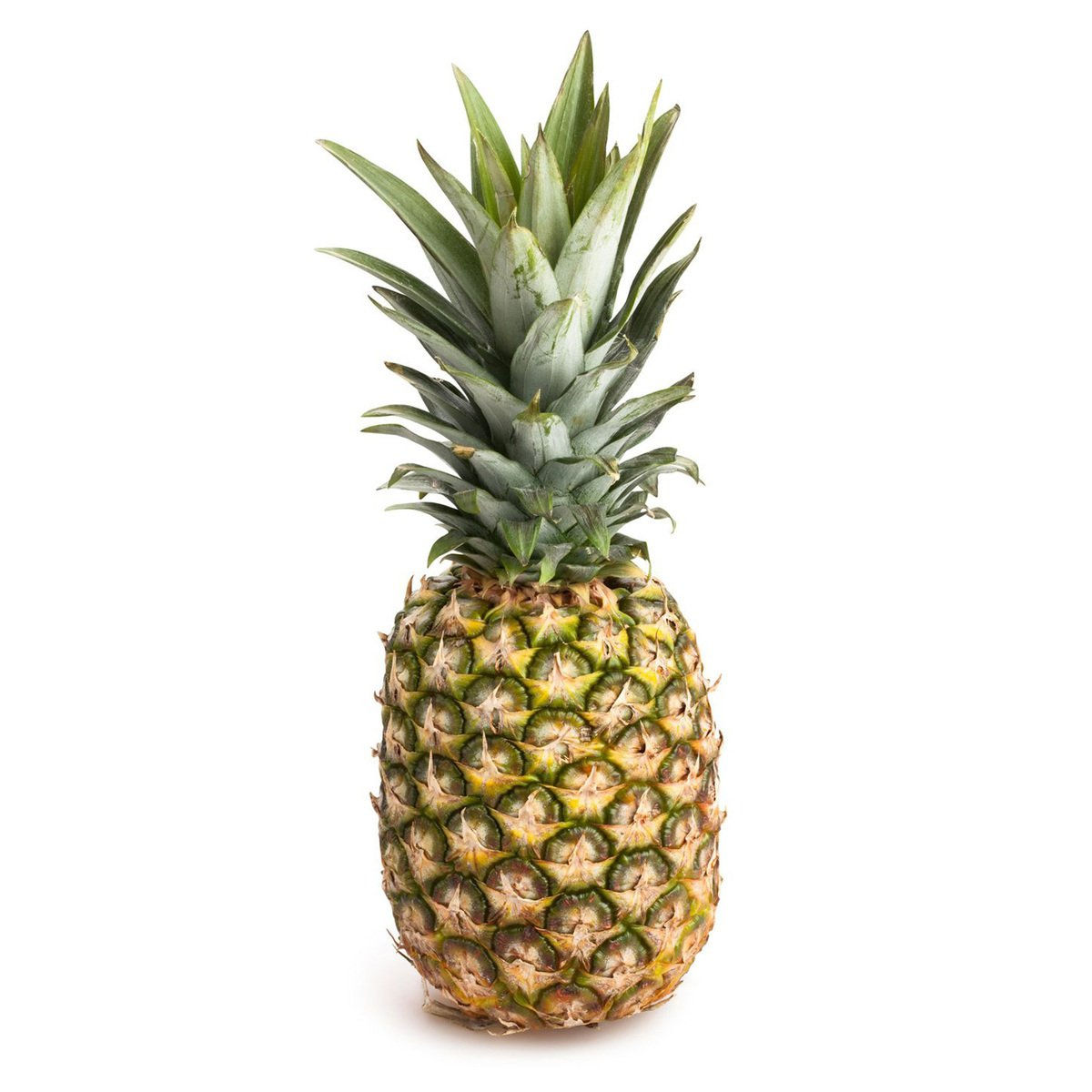 Fresh Pineapple | Sweet & Juicy Pineapple | Jaivik Bazaar
