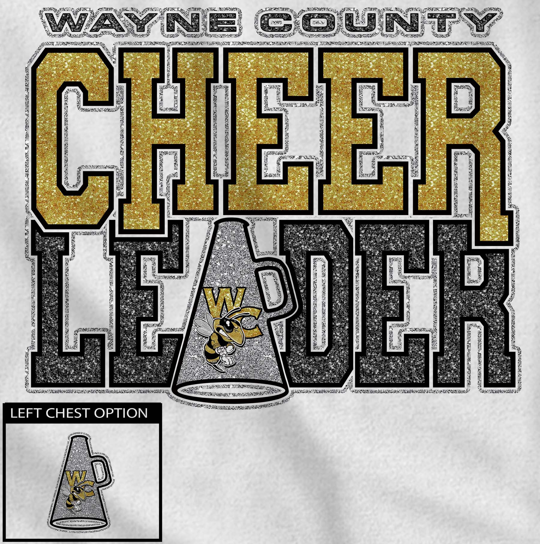 Wayne Co Cheer #1