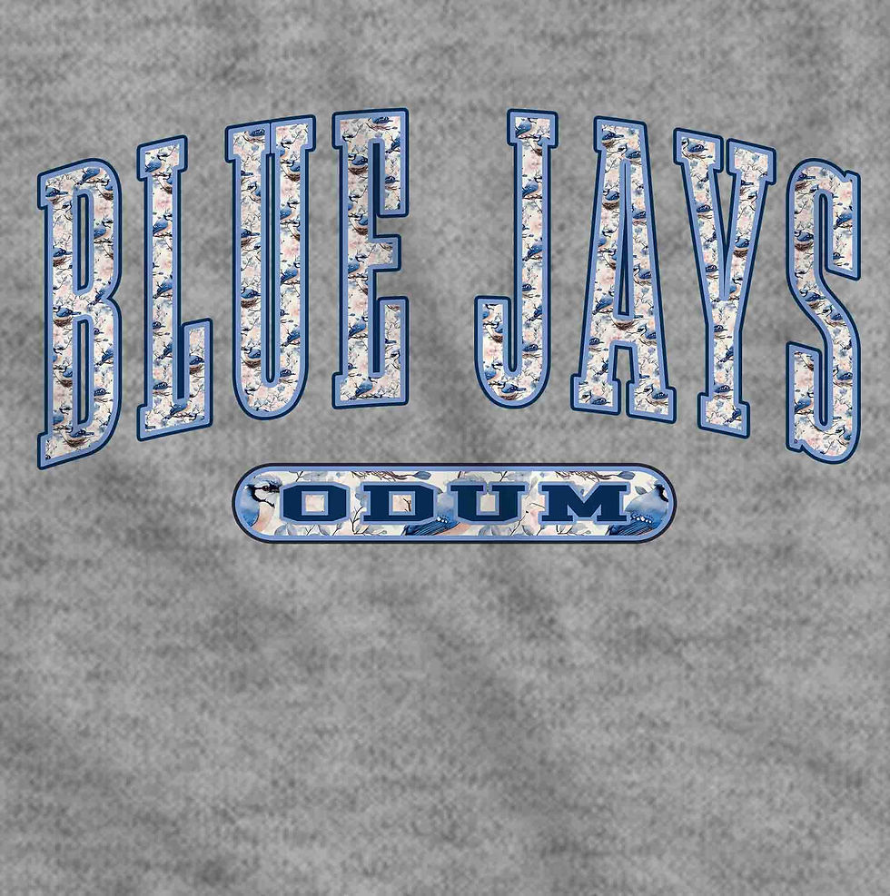 Thumbnail: Odum Blue Jays #11