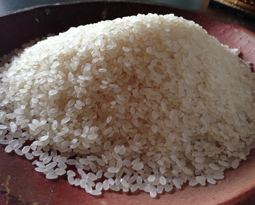 無農薬無施肥、自然栽培米「朝日」5kg｜丹波自然農園Kファーム