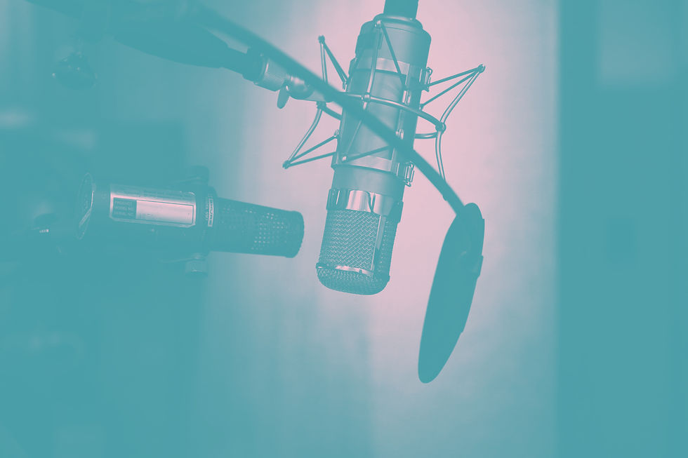 Professional Microphone with Pop Filter_edited.jpg