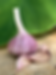 German Red Garlic (1lb)