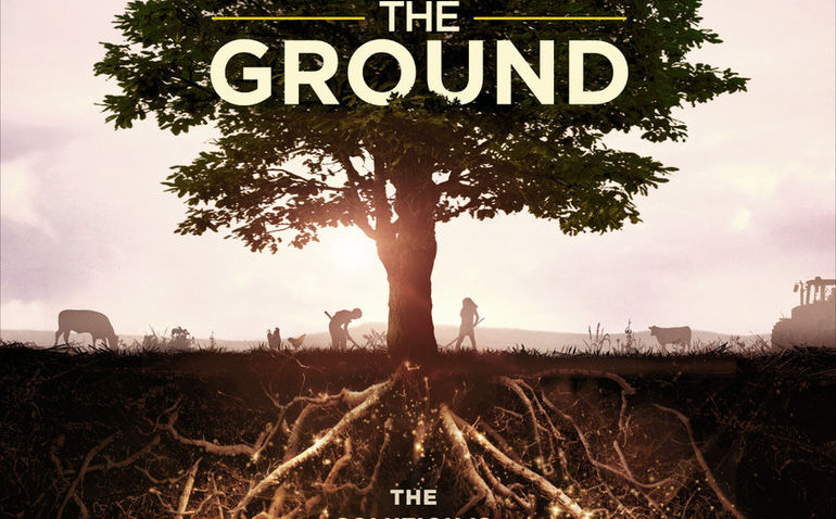 Photo 6 KISS_THE__GROUND_-_NEW_TREE.jpg