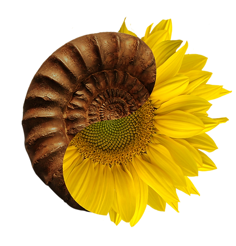 logo.tif