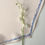 Thumbnail: "Just Spring" rhombus scarf 