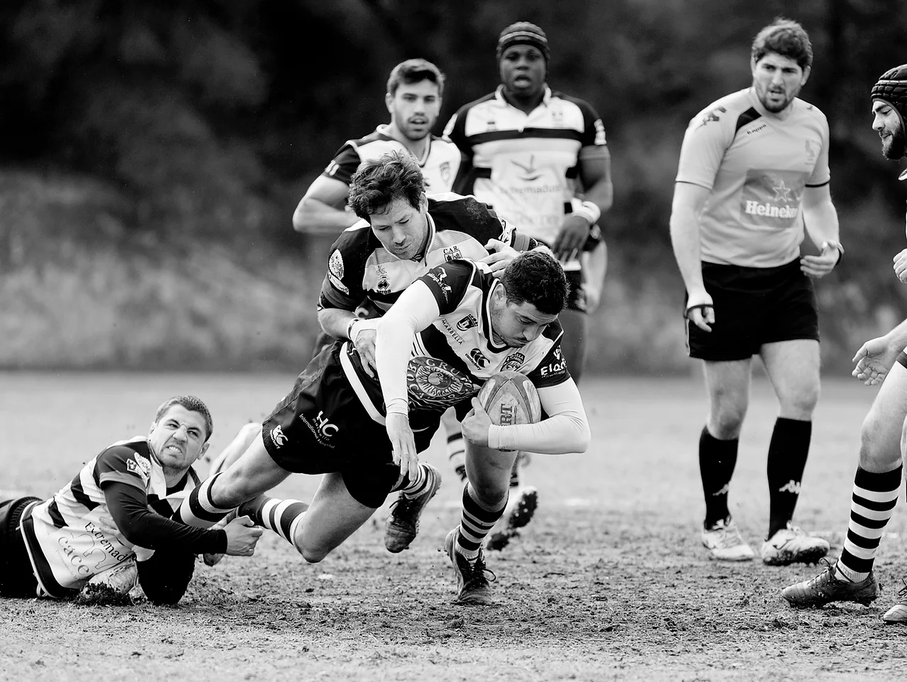 rugby.webp