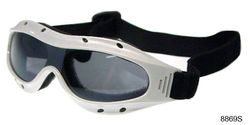 8869S.jpg