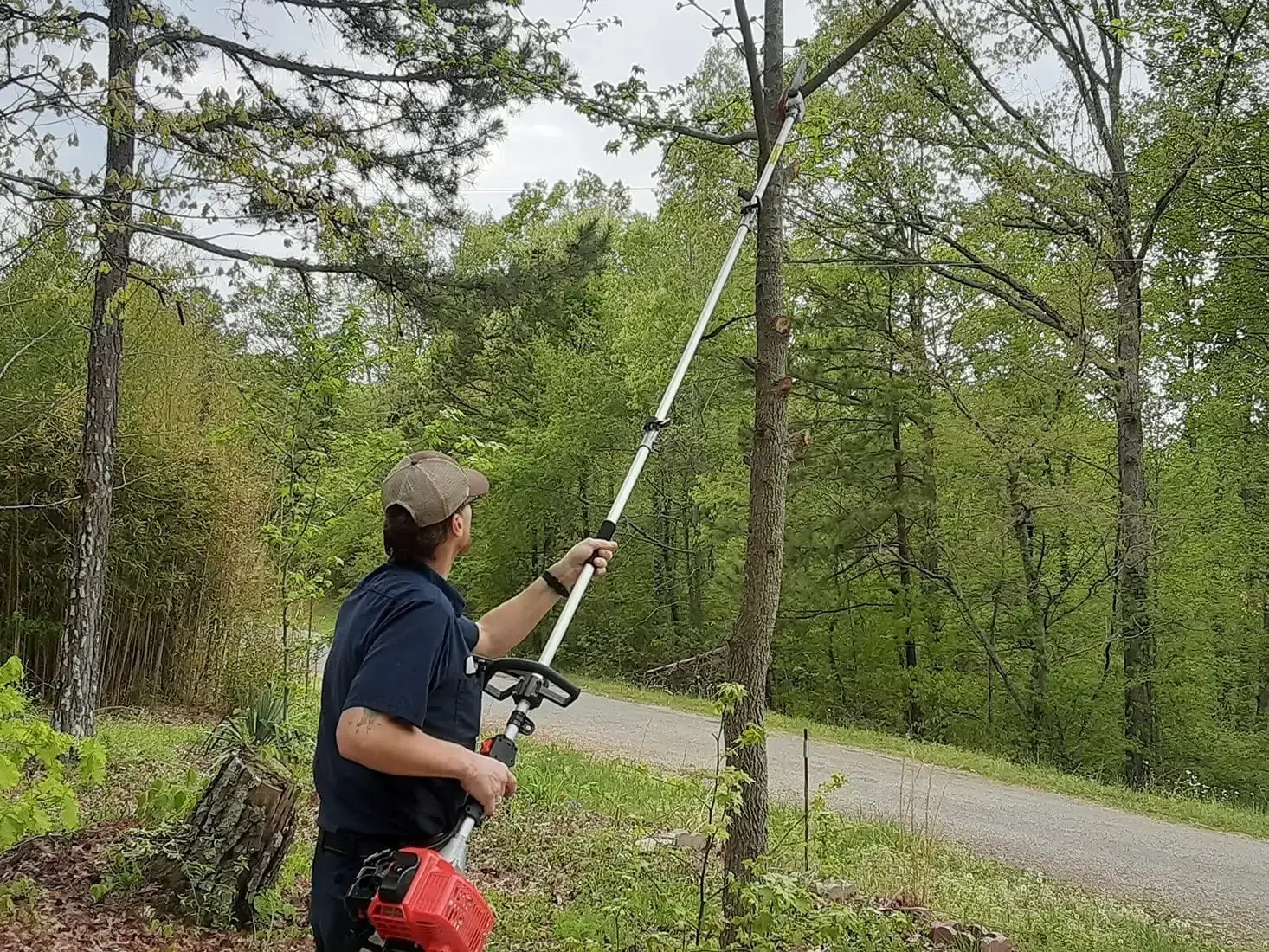 Tree Trimming