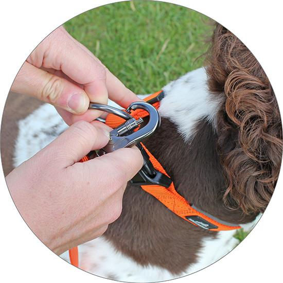Thumbnail: Miro & Makauri Padded Lead W/ Carabiner Locking Clasp