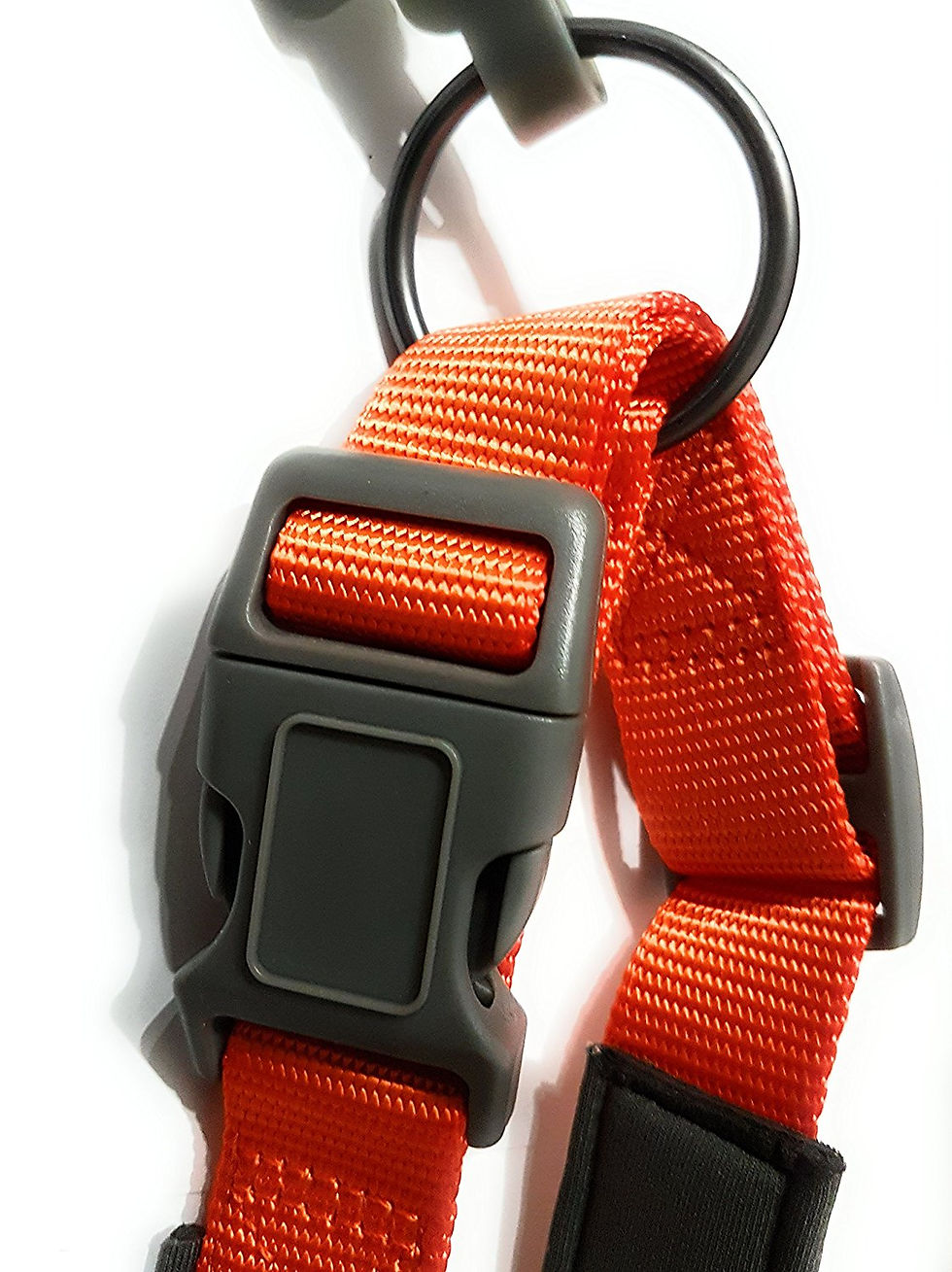 Thumbnail: Miro & Makauri Padded Nylon Clasp Collars