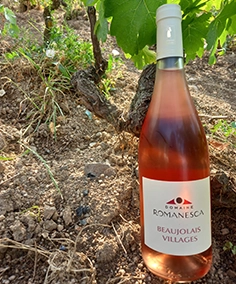 Beaujolais villages rosé 2021.webp