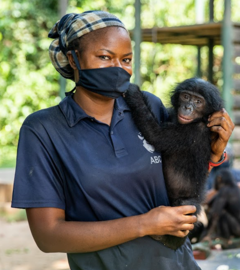 A woman holding a baby bonobo