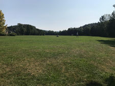 IMG_4331.jpeg