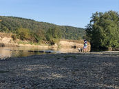 IMG_4335.jpeg