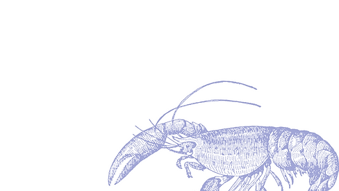 blue lobster.png