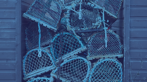 LOBSTER BASKETS.png