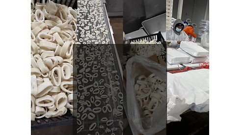 CALAMARI RINGS.png
