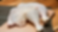 15.png