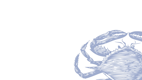 blue crab water mark.png