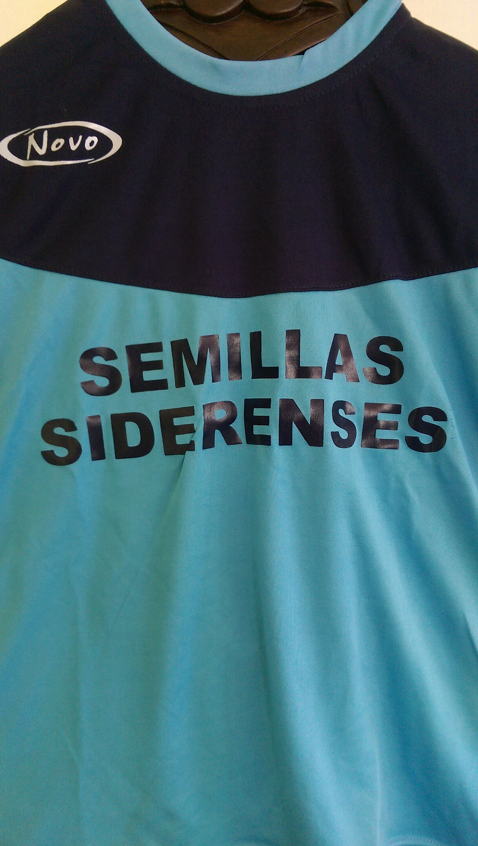 Camiseta entrenamiento
