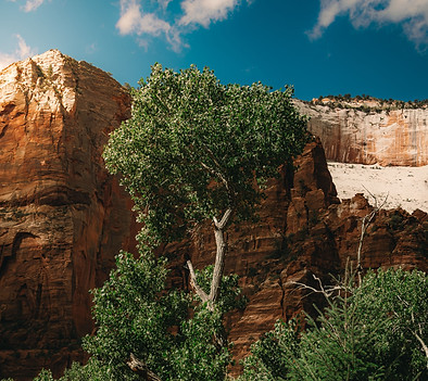 zion square cover .jpg