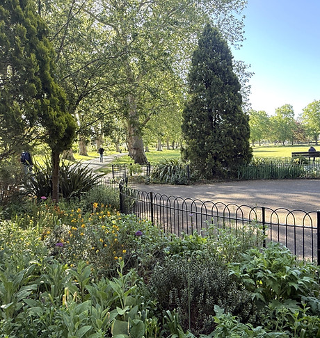 Park little railings.JPG