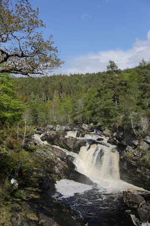Rogie Falls, Ross-Shire