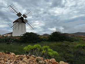 AIDAnova, Puerto Del Rosario, Fuerteventura, Los Molinos, Tiscamanita, Windmühle, Mühlenmuseum, Weizen, Gofio
