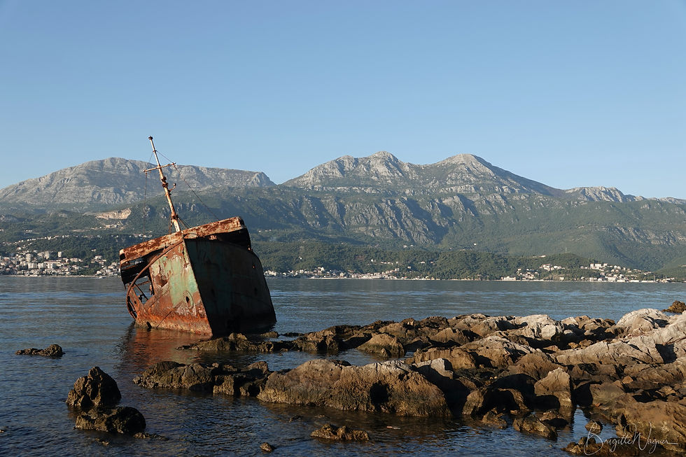 Wrack Rose, Montenegro, Crna Gora