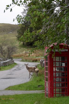 Achnasheen, Wester Ross
