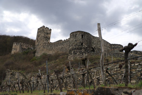 Burgruine Hinterhaus, Wachau, Österreich
