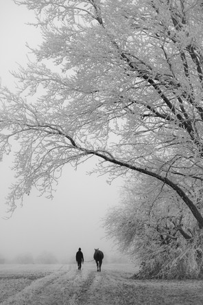 Main-Taunus-Kreis, Niederhöchstadt, Hessen, Winter