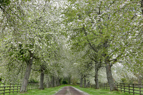 Cawdor Castle