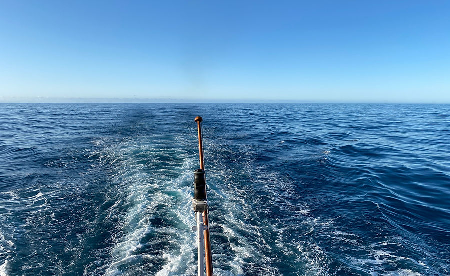 Drake Passage gen Norden