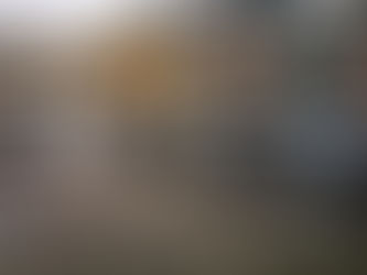 Pigeon Control Burnley - Bird Control Burnley - Pigeon Proofing in Burnley, Lancashire