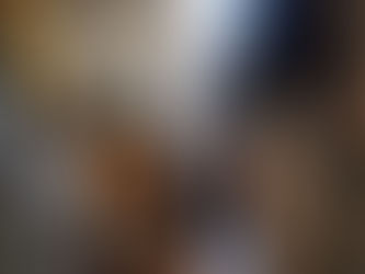 Flea Eradication - Flea Treatment Burnley and the North West......