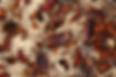pest-control-burnley-accrington-help-service-atlas-harvey-dream-environmental-rentokill-pestokill-control-cockroaches-wasps-bed-bugs-pest-control-burnley-atlas-environmental-services-frontline-pest-solutions-control-fumigation-exterminator-commercial-professional-pest-service-burnley-wasp-nest-burnley-cockroach-control-lancashire-burnley